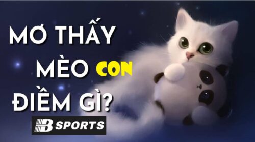 Thấy mèo con ngồi trên vai Thấy mèo con ngồi trên vai