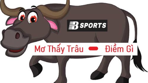 Nằm mơ thấy trâu là điềm gì? Nằm mơ thấy trâu là điềm gì?