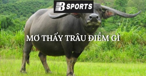 Ngủ mơ thấy trâu đang ăn cỏ Ngủ mơ thấy trâu đang ăn cỏ