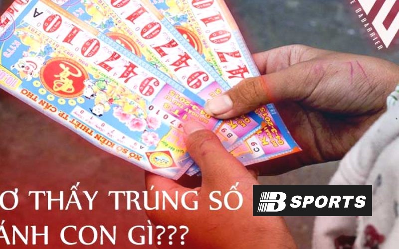 Mơ thấy trúng số đánh con gì dễ trúng Mơ thấy trúng số đánh con gì dễ trúng