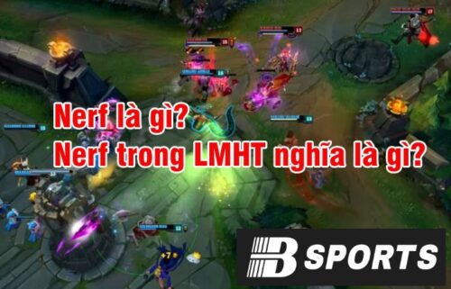 Khái niệm Nerf là gì? Khái niệm Nerf là gì?