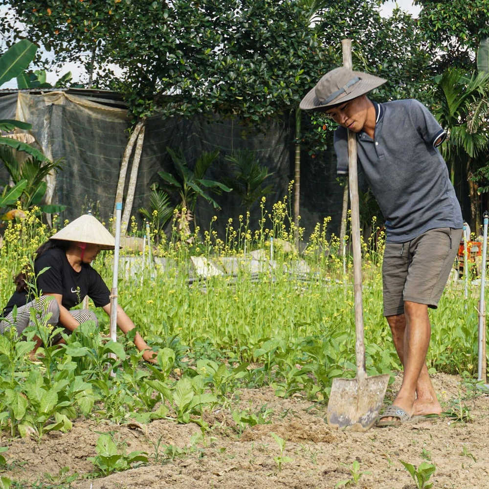 Dù có bị khiếm khuyết cả 2 tay nhưng anh vẫn luôn cố gắng giúp vợ Dù có bị khiếm khuyết cả 2 tay nhưng anh vẫn luôn cố gắng giúp vợ