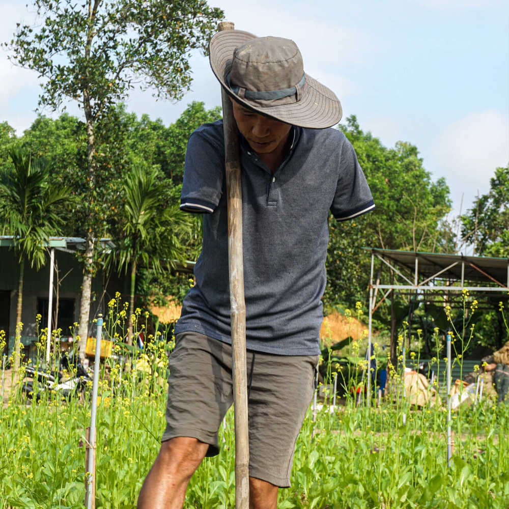 Anh Cường phụ vợ làm vườn Anh Cường phụ vợ làm vườn