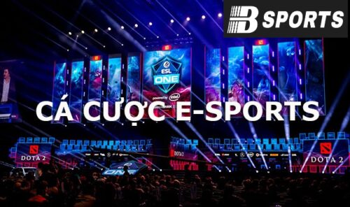 Những trang cá cược esport uy tín được nhiều game thủ trải nghiệm Những trang cá cược esport uy tín được nhiều game thủ trải nghiệm
