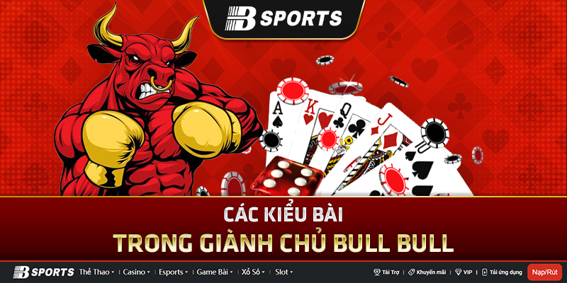 Các kiểu bài trong giành chủ bull bull là gì? Các kiểu bài trong giành chủ bull bull là gì?