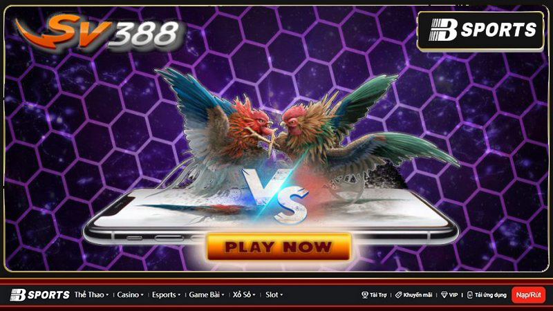 Casino SV388 thu hút hàng triệu thành viên tham gia đông đảo