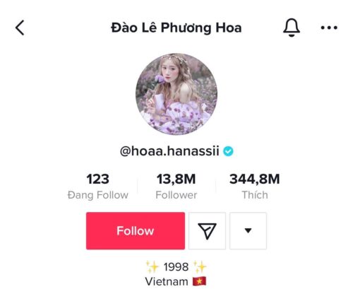 Những con số đã nói lên sự nổi tiếng và tầm ảnh hưởng của Đào Lê Phương Hoa đối với giới trẻ