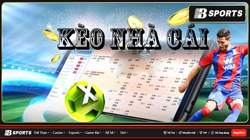 Hướng dẫn đọc tỷ lệ kèo nhà cái trực tuyến Hướng dẫn đọc tỷ lệ kèo nhà cái trực tuyến