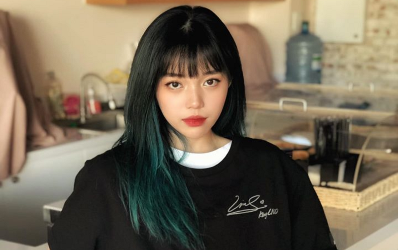 Linh Ngọc Đàm là nữ streamer thành công nhất trên nền tảng Youtube tại Việt Nam hiện nay