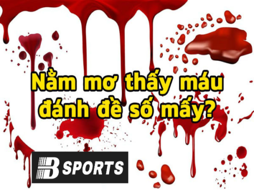 Bạn mơ thấy máu do bị chó cắn hãy đánh số 7. Bạn mơ thấy máu do bị chó cắn hãy đánh số 7.