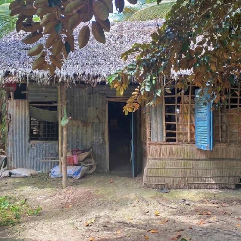 Căn nhà của 5 mẹ con Căn nhà của 5 mẹ con