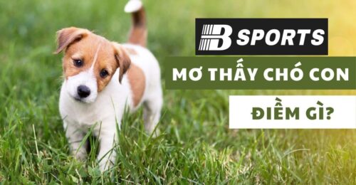 Nằm mơ thấy chó con Nằm mơ thấy chó con