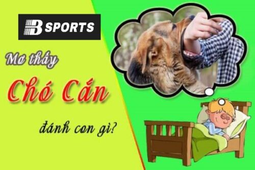 Nằm mơ bị chó cắn đánh con gì trúng dễ Nằm mơ bị chó cắn đánh con gì trúng dễ