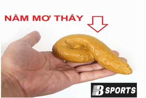 Chiêm bao mơ thấy cứt chó Chiêm bao mơ thấy cứt chó