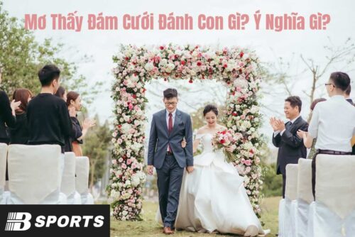 Nằm mơ thấy đám cưới đánh con gì Nằm mơ thấy đám cưới đánh con gì