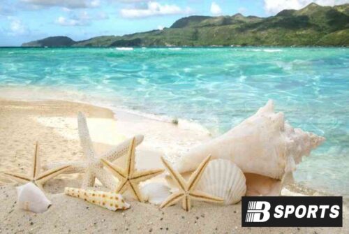 Kết luận mơ thấy biển Kết luận mơ thấy biển