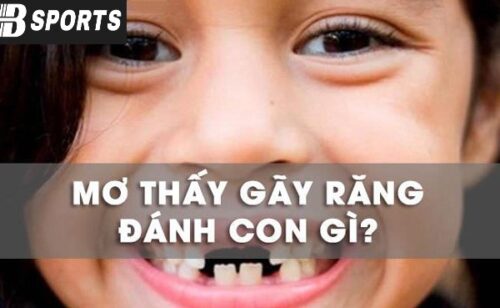 Giải mã giấc mơ bị gãy răng đánh con gì Giải mã giấc mơ bị gãy răng đánh con gì