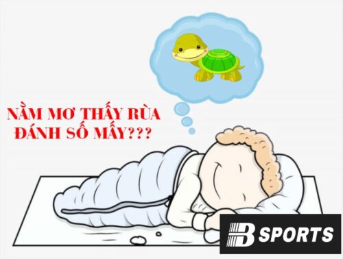 Ý nghĩa khi mơ thấy rùa đen Ý nghĩa khi mơ thấy rùa đen