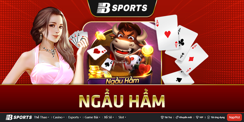 Ngầu Hầm là gì? Ngầu Hầm là gì?