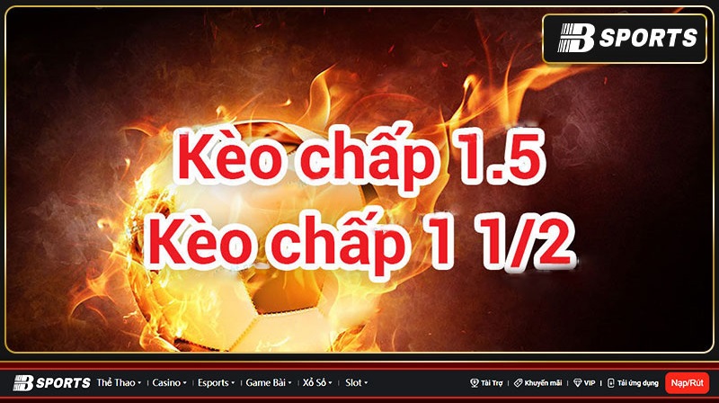 Không nên đặt cược quá nhiều tiền vào kèo 1 1/2, đặc biệt là tân thủ Không nên đặt cược quá nhiều tiền vào kèo 1 1/2, đặc biệt là tân thủ