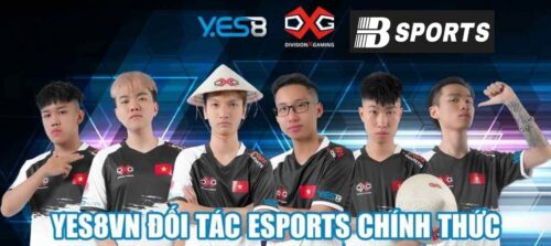 Thông tin công khai minh bạch của trang web cá cược esport yes8 Thông tin công khai minh bạch của trang web cá cược esport yes8