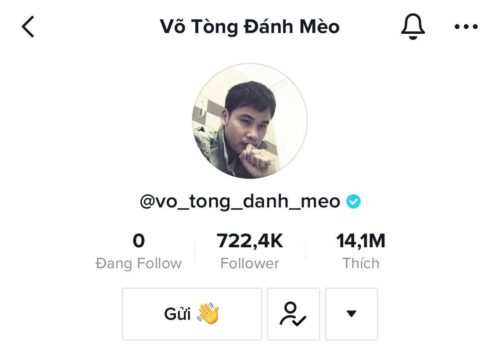 Võ Tòng Đánh Mèo từng gặp nhiều khó khăn, thử thách khi mới chuyển sang hoạt động trên nền tảng Tiktok. Tuy nhiên bây giờ anh đã gặt hái được nhiều thành công rõ rệt