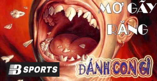 Giải mã giấc mơ bị gãy răng đánh con gì để ăn tất?