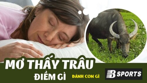 Mơ thấy trâu đánh con gì?