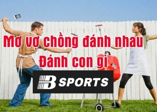 Mơ thấy 2 vợ chồng đánh nhau đánh con gì? 