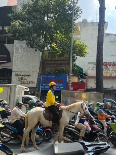 Cưỡi Ngựa cực cháy khi chạy Be