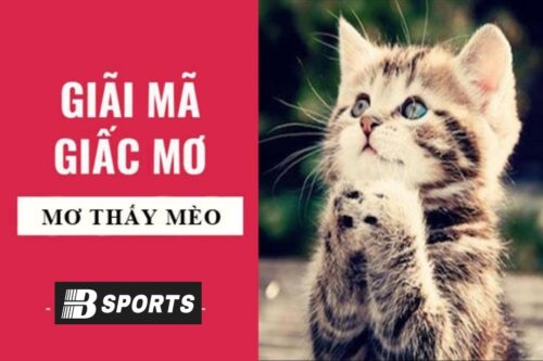 Nằm mơ thấy mèo nghĩa là gì