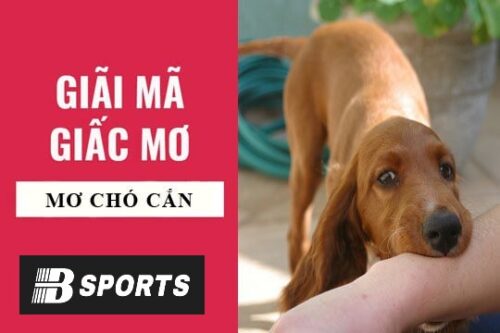 Giải mã giấc mơ bị chó cắn điềm báo gì cho tương lai