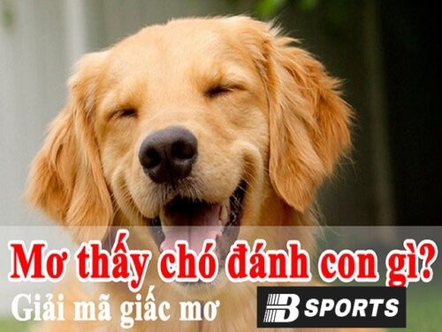 Nằm mơ thấy chó đánh con gì cho dễ chơi và dễ trúng?