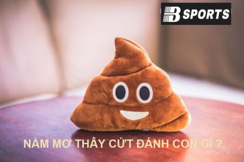 Mơ thấy cứt đánh con gì mau trúng ở Bsports?