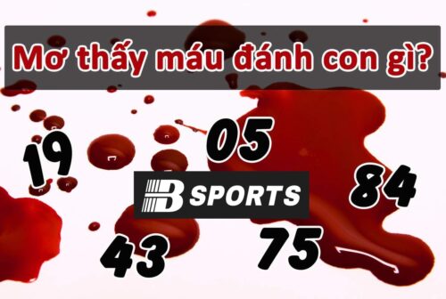 Mơ thấy máu đánh con gì để dễ trúng lô đề nhất?