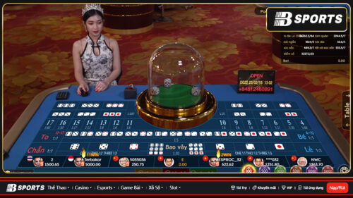 Tài xỉu Bsports