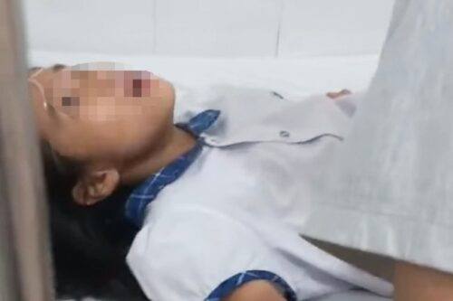 11 em học sinh lớp 6 đã bị ngộ độc thực phẩm do ăn phải hạt ngô đồng