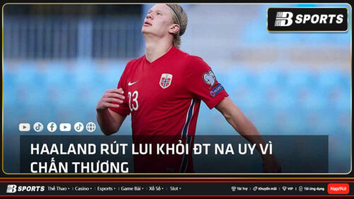 Haalan-rut-khoi-tuyen-Na-Uy-vi-chan-thuong-3