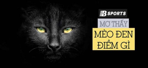 Giải mã giấc mơ thấy mèo đen
