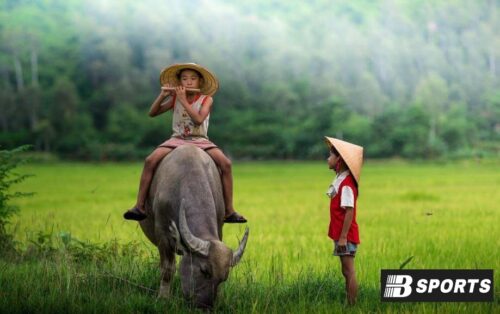 Con trâu số mấy, đánh con gì để trúng cả lô lẫn đề Con trâu số mấy, đánh con gì để trúng cả lô lẫn đề