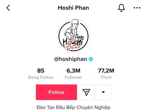 Kênh tiktok cá nhân của Hoshi Phan được xếp vào loại khủng tại Việt Nam với lượng người xem và tương tác cực kỳ lớn. Rất nhiều người phải ngưỡng mộ Hoshi về khoản này, kể cả giới đồng nghiệp trong nghề