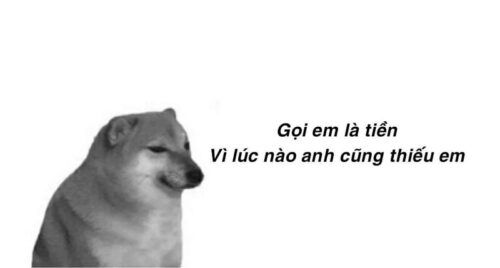 Meme hài và thú vị được mọi người dùng trên mạng xã hội