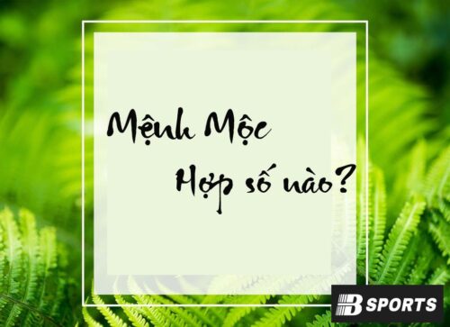 Mệnh Mộc hợp số nào - Người mệnh Mộc là ai, thuộc năm sinh nào?