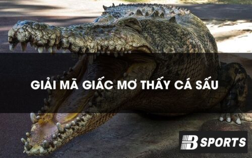 Giải mã việc nằm mơ thấy cá sấu hay nhất Bsports