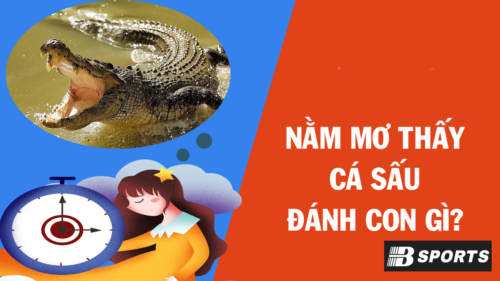 Chiêm bao mơ thấy cá sấu đứt đuôi đánh con gì Chiêm bao mơ thấy cá sấu đứt đuôi đánh con gì
