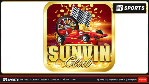 sun-vin-2