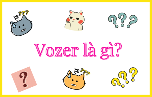 Vozer cùng những điều chưa biết