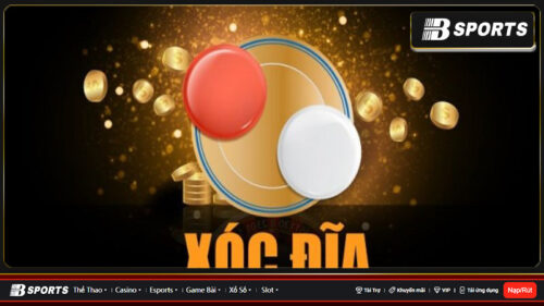 Tìm hiểu về xóc đĩa