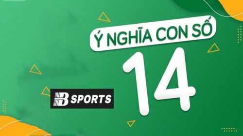 Số 14 có ý nghĩa gì trong phong thủy ngũ hành 