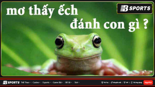 Nằm mơ thấy ếch đánh số gì?